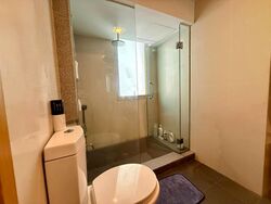 8 @ Mount Sophia (D9), Condominium #506387711